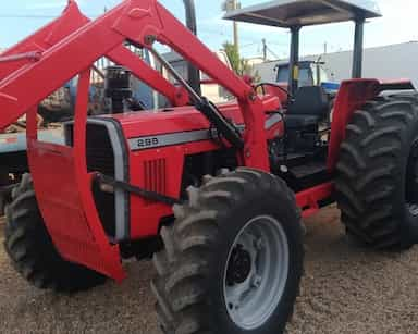 Massey Ferguson 299 - 95/95