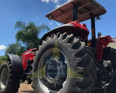 Massey Ferguson 4290 - 21