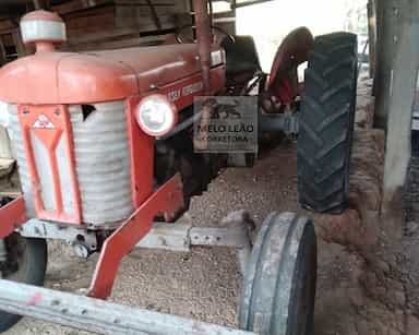 Massey Ferguson 65 - 19/73