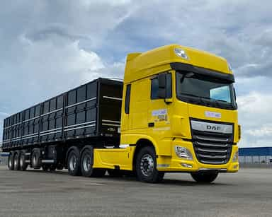 DAF XF 530  - 23/24